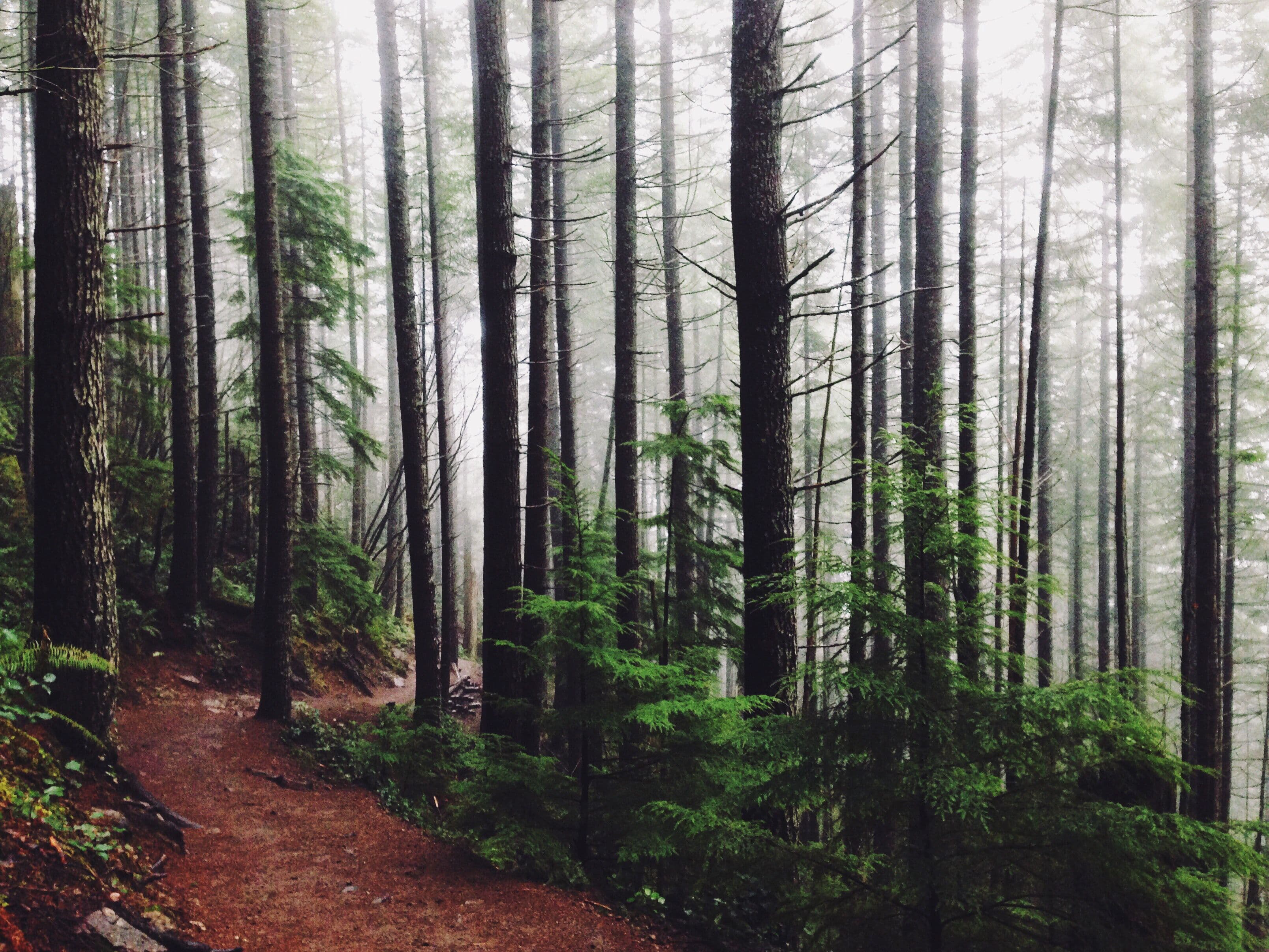 MyTrailPals & HikeQueens Trail List